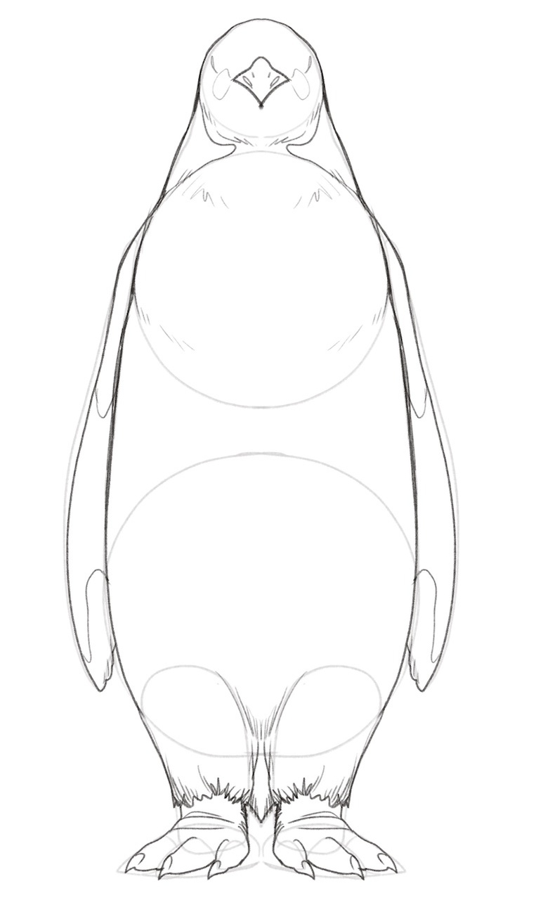 Penguin with nostrils and thicker feathers around legs. ​