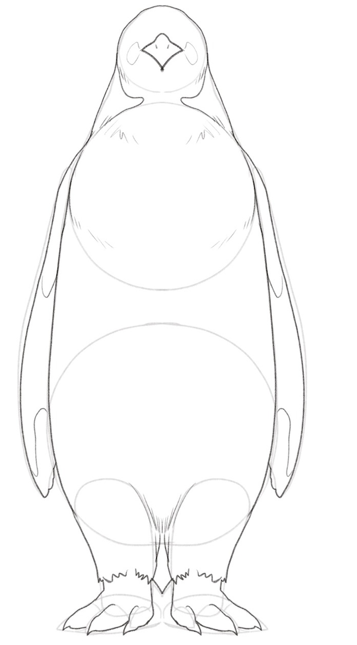 Penguins eyes are added to the sketch. ​