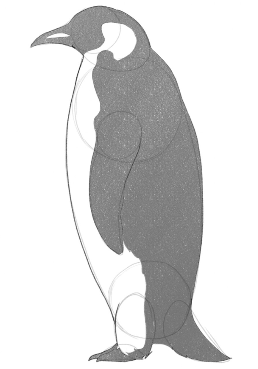 The right side of the penguin’s body is colored in a dark shade of grey. ​