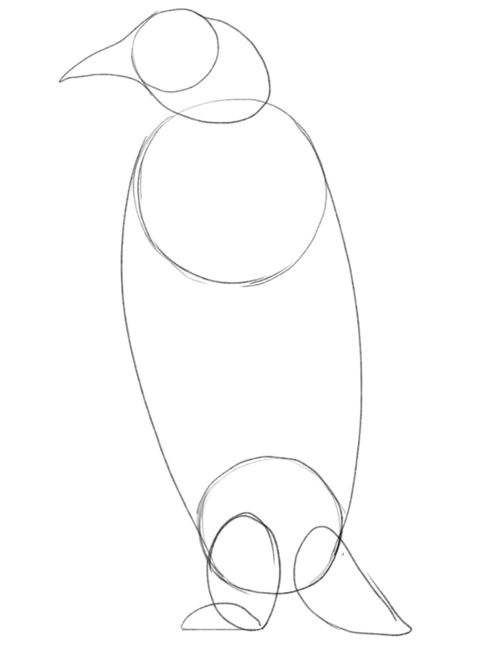 The rough outline of the penguin’s body.