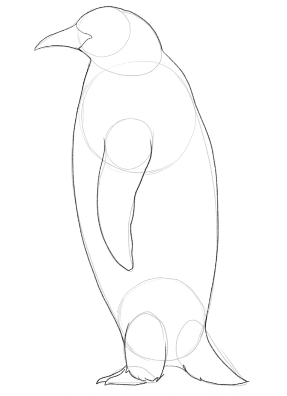 Finished outline of the penguin's body from the side.