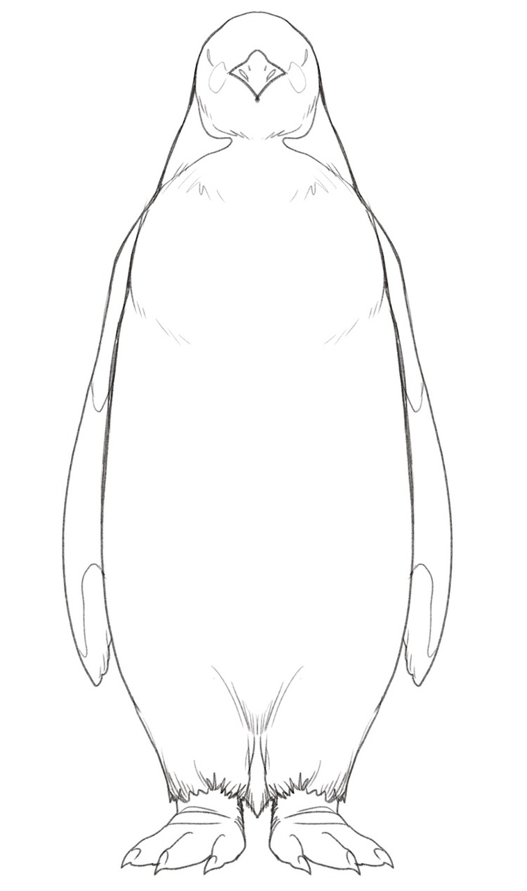 Unneeded lines are erased from the penguin drawing. ​