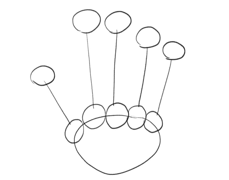 The top circles are connected to bottom circles with straight lines, forming the outline of metacarpal bones.​