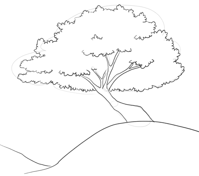 Wavy lines are added to the tree crown to depict the foliage. ​