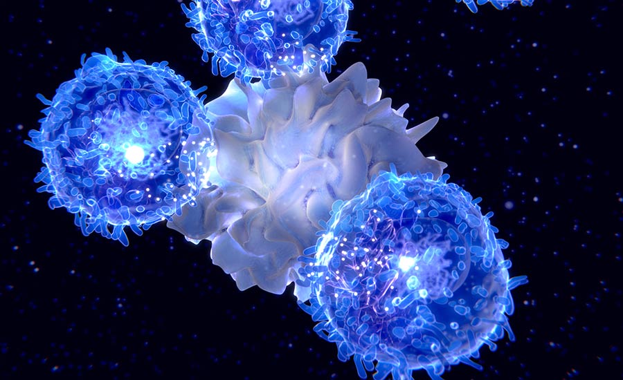 Stock image showing dendritic cells presenting an antigen to T-Cells.​