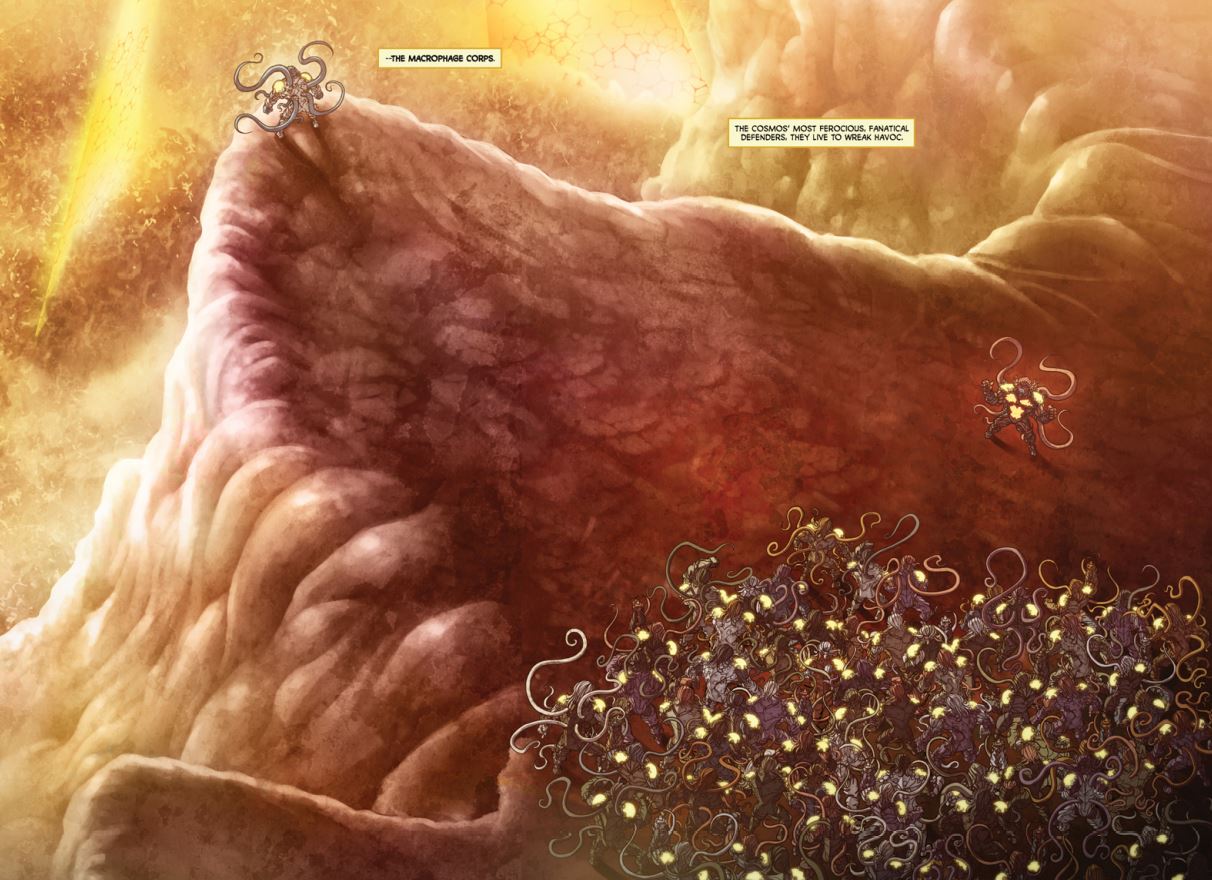 Macrophages perform many protective functions in our bodies — image used for the “What Are Macrophages” blog post.
