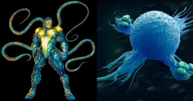 what are macrophages hero image