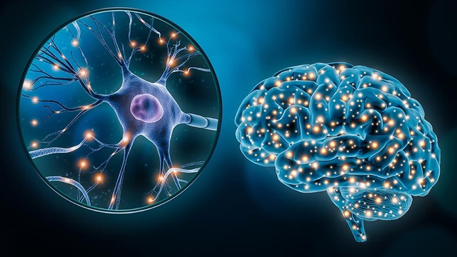 What Is A Neuron? Meet Your Brain's Messengers