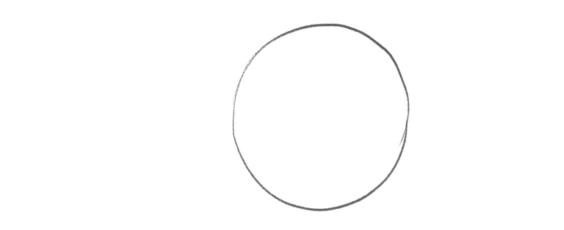 A circle outline that’s going to be used as the basis for the wolf’s chest.​