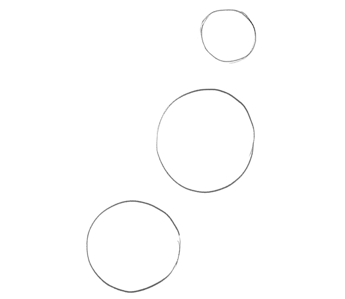 Three circles used to define the size of the wolf's body.