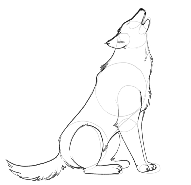 The wolf’s body is shaded along the outlines. 