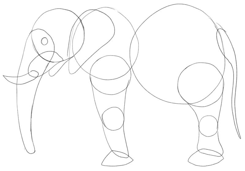 The drawing of elephant’s legs on the left side is finished.​