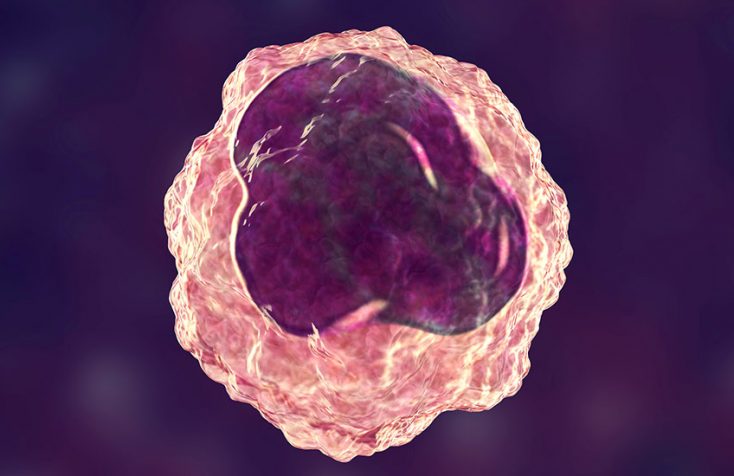 monocytes hero image