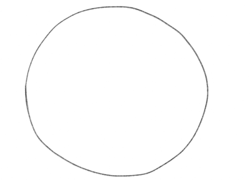 Drawing of a circle.​