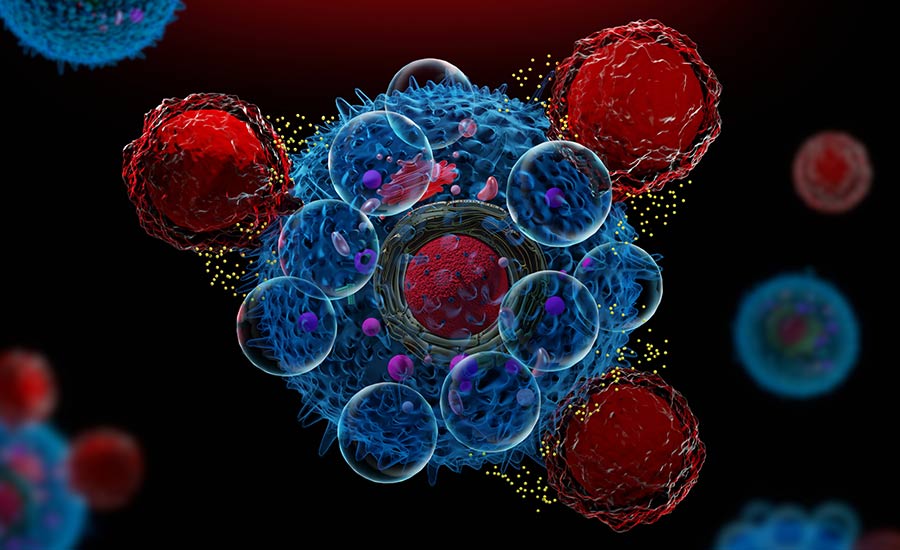 types of t cells