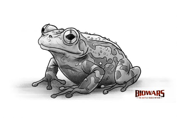 frog drawing hero image
