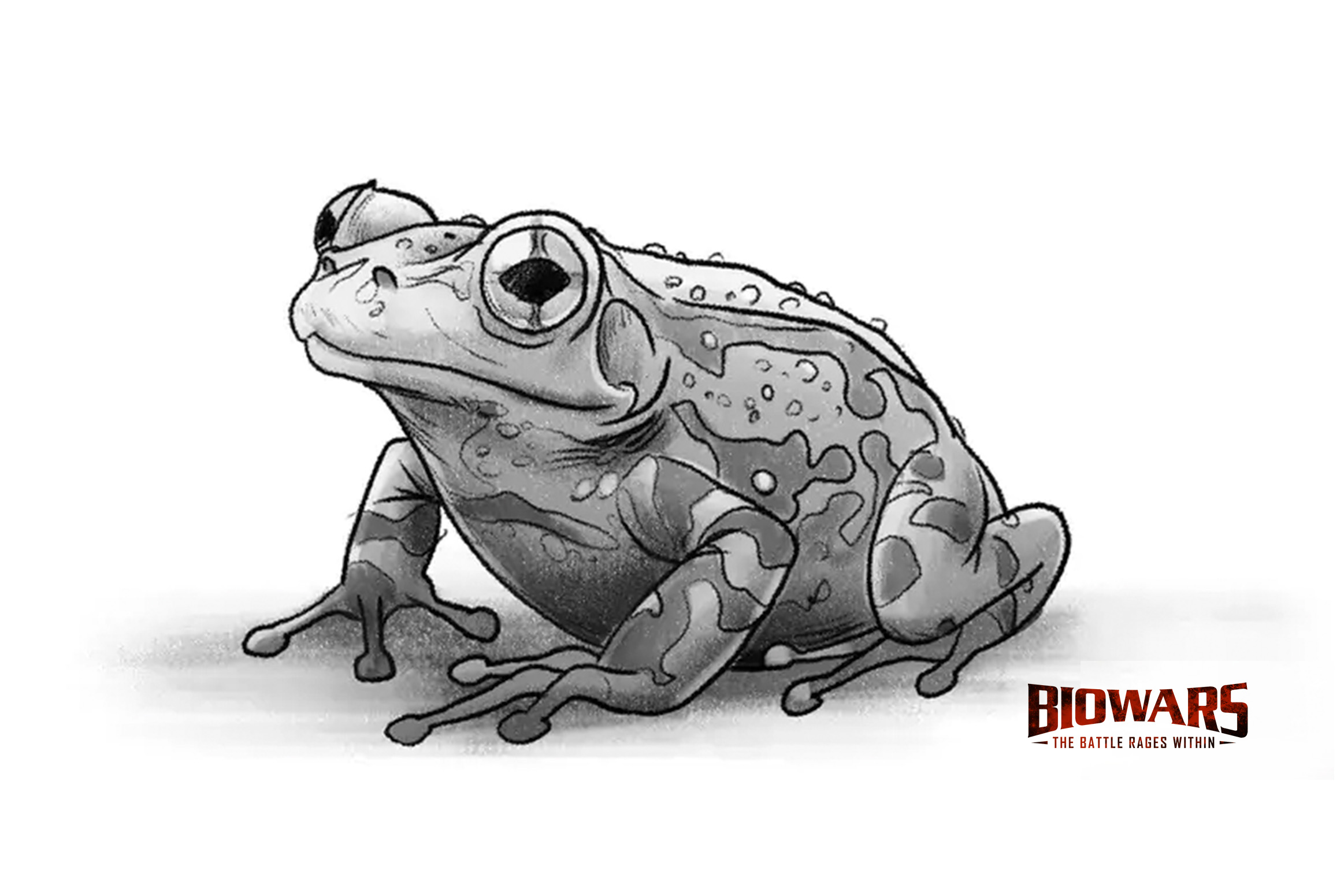 toads drawing