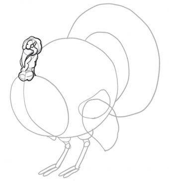 Turkey Drawing In 5 Steps For Beginners [Video + Illustrations]