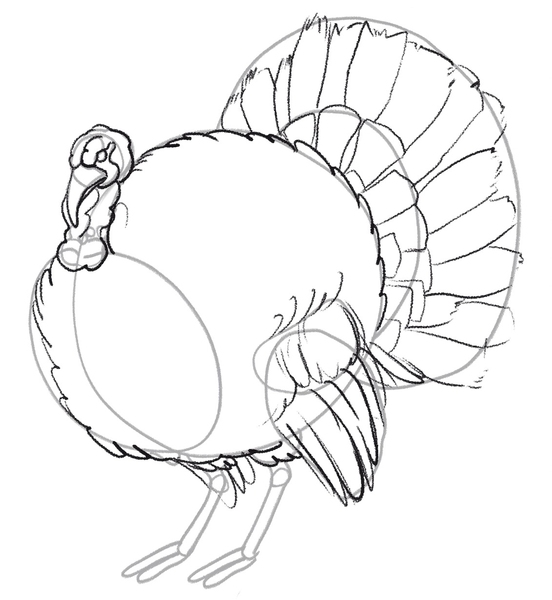 Details added to the turkey’s wing.​