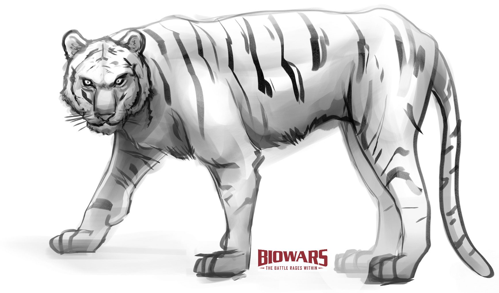 Stock Art Drawing of a White Bengal Tiger