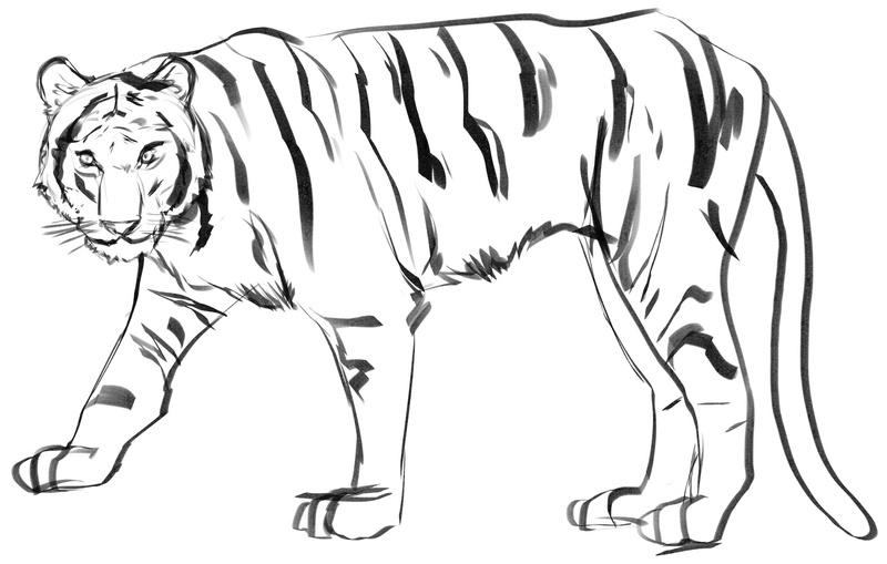 Stripes added all over the tiger’s body.​