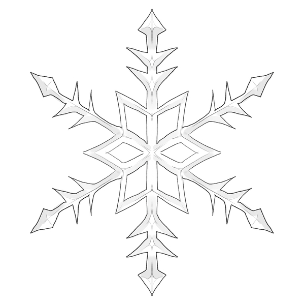 Finished snowflake drawing.​