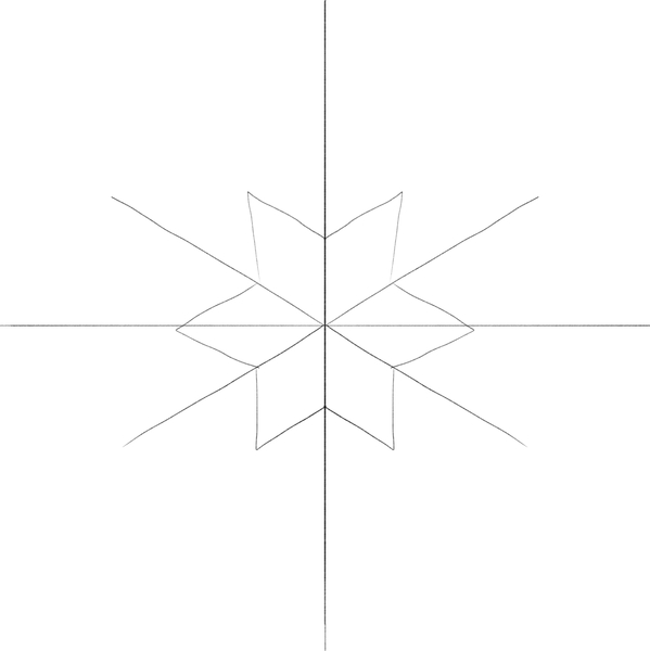 Star at the center of the snowflake.​