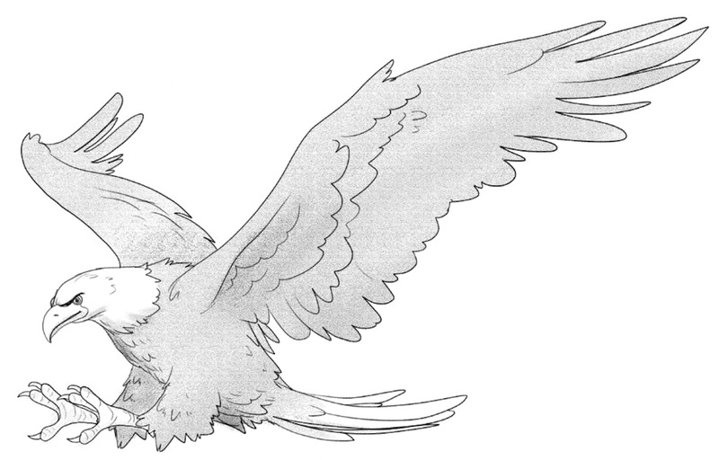 Finished eagle drawing.