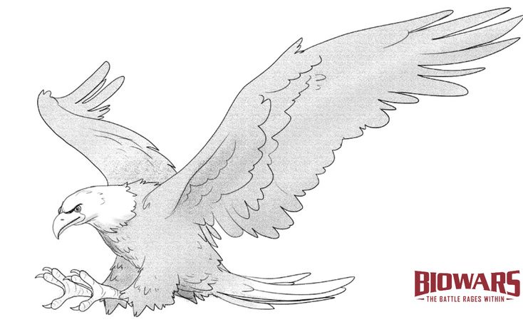 Finished drawing of an eagle. Image used in the “Eagle Drawing In 7 Steps For Beginners” blog post.