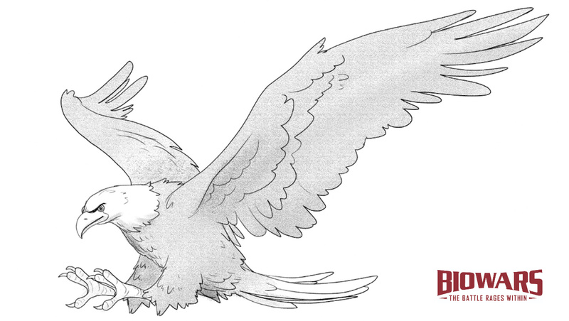 Finished drawing of an eagle. Image used in the “Eagle Drawing In 7 Steps For Beginners” blog post.