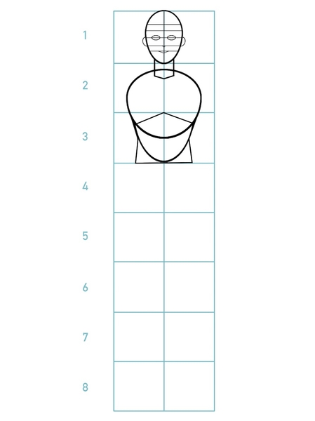 The outline of the ribcage and pelvis.