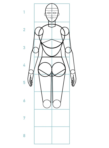 Outline of the upper legs.
