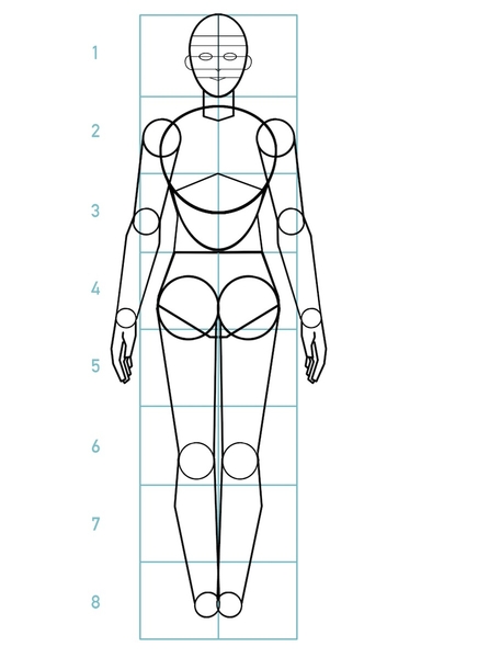 The outline of the legs without the feet.